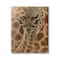 Stupell Industries Baby Giraffe with Mother Patterned Safari Animal Hug Canvas Wall Art